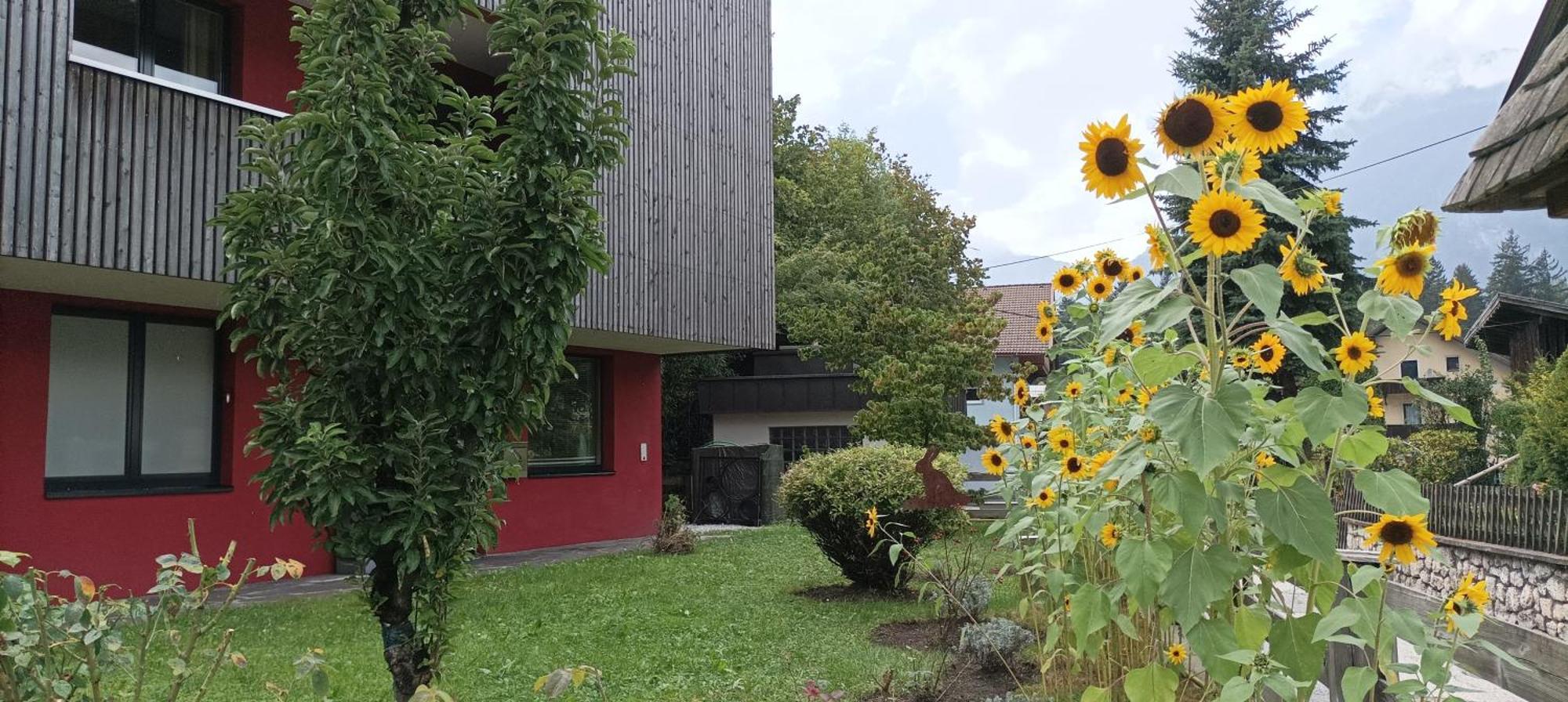 Inn-Studio Ursula Brixlegg Exterior photo