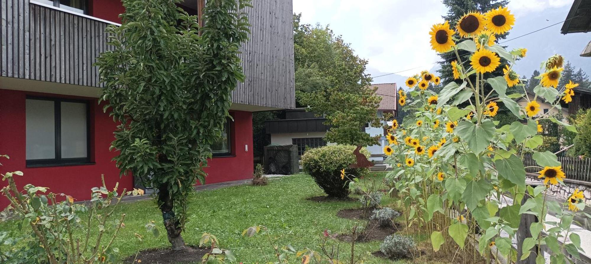 Inn-Studio Ursula Brixlegg Exterior photo